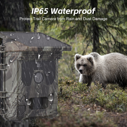 Stealth Vision Solar Powered Inferred Trail Camera