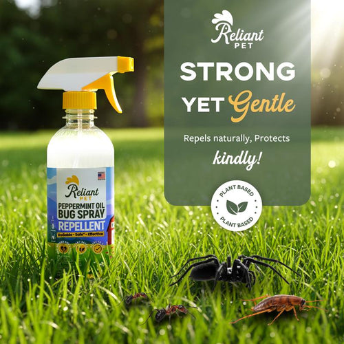 TrailShield Peppermint Pest Defense